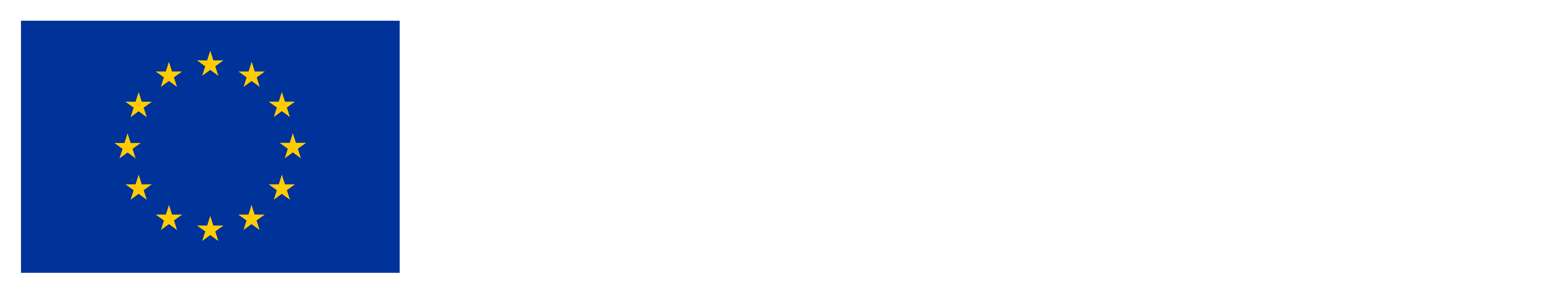 DEMANDS project EU logo